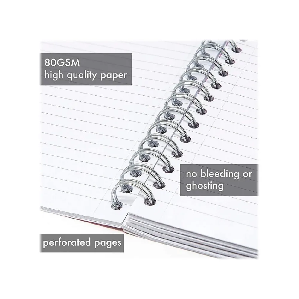 Subject Notebooks|Pukka Pad Rochelle & Jess 5-Subject Subject Notebooks, 6.9" x 9.8", College Ruled, 100 Sheets, Assorted Colors, 3/Pk (9447-ROC)