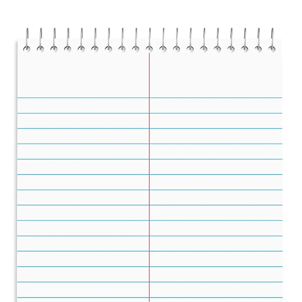 Notepads|Staples Steno Pad, 6" x 9", Gregg Ruled, White, 80 Sheets/Pad, Dozen (ST57354/TR57354)